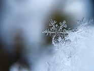Beugen Sie Frostschäden frühzeitig vor, sonst kann es teuer werden. Beugen Sie Frostschäden frühzeitig vor, sonst kann es teuer werden.